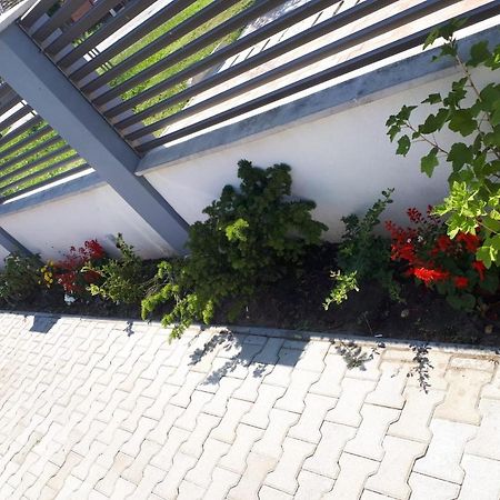 Apartament Saguna Sînnicolau Mare Buitenkant foto