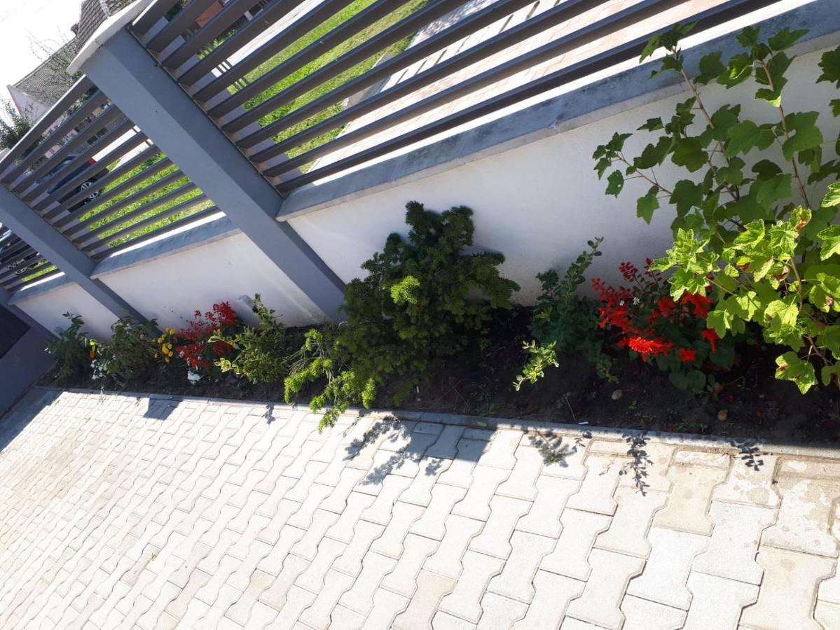 Apartament Saguna Sînnicolau Mare Buitenkant foto